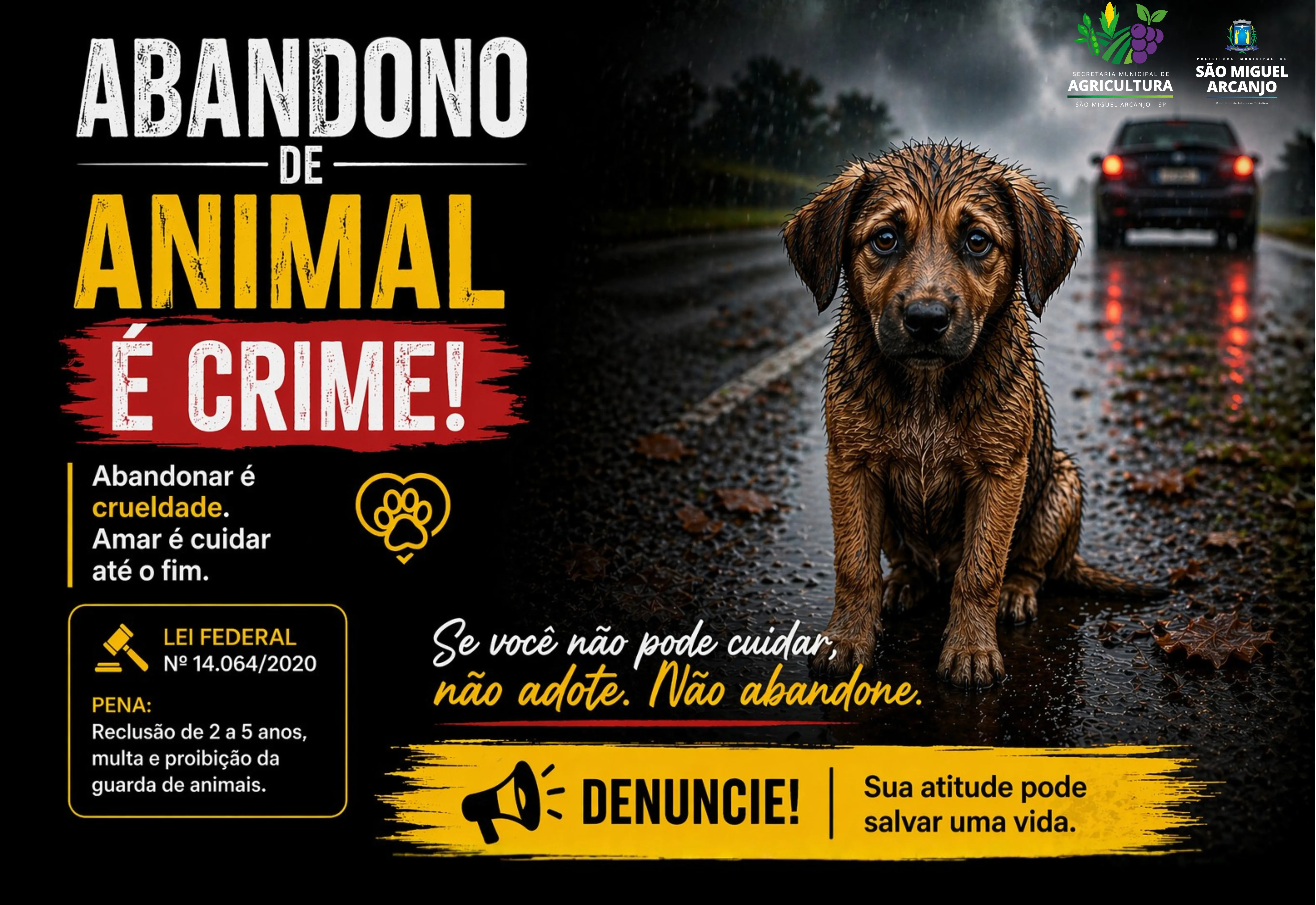 ABANDONO DE ANIMAIS É CRIME E UM ATO DE CRUELDADE